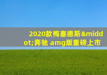 2020款梅塞德斯·奔驰 amg版重磅上市